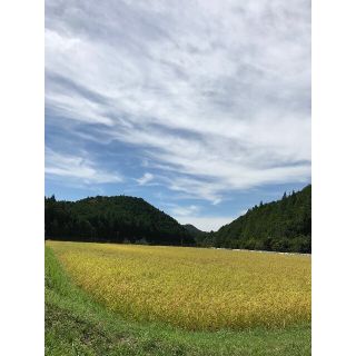 令和3年度　三重県産コシヒカリ100%玄米1kg(袋込み) 600円(米/穀物)