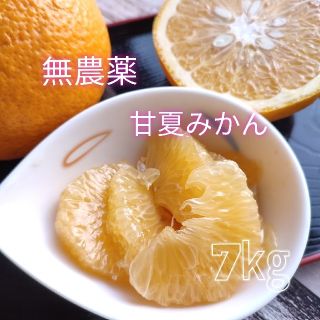 【無農薬】甘夏みかん　約7㎏(フルーツ)