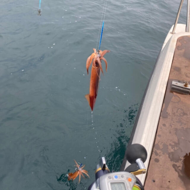 魚介富山湾 採りたてスルメイカの船上干し 2キロ