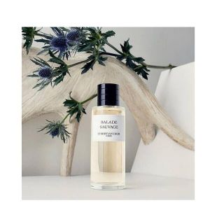 クリスチャンディオール(Christian Dior)のCHRISTIAN DIOR BALADE SAUVAGE 40ml(ユニセックス)