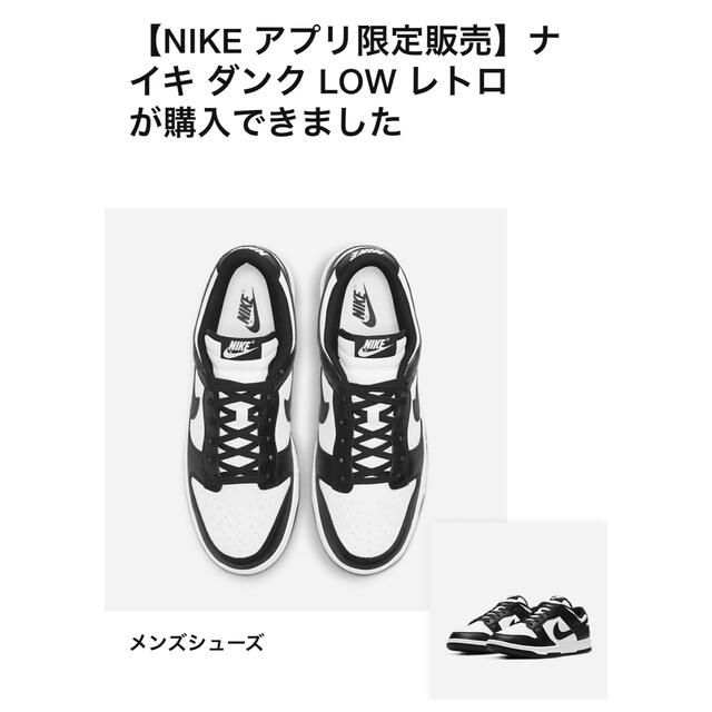 NIKE DUNK LOW Retro PANDA パンダ