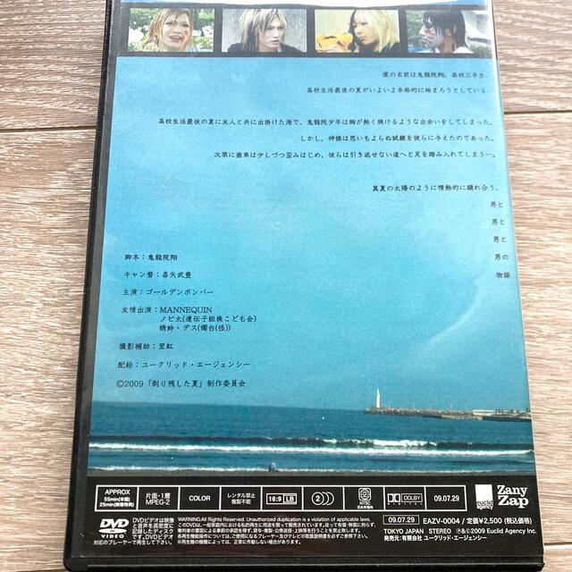 【美品】ゴールデンボンバー　剃り残した夏　DVD エンタメ/ホビーのDVD/ブルーレイ(ミュージック)の商品写真