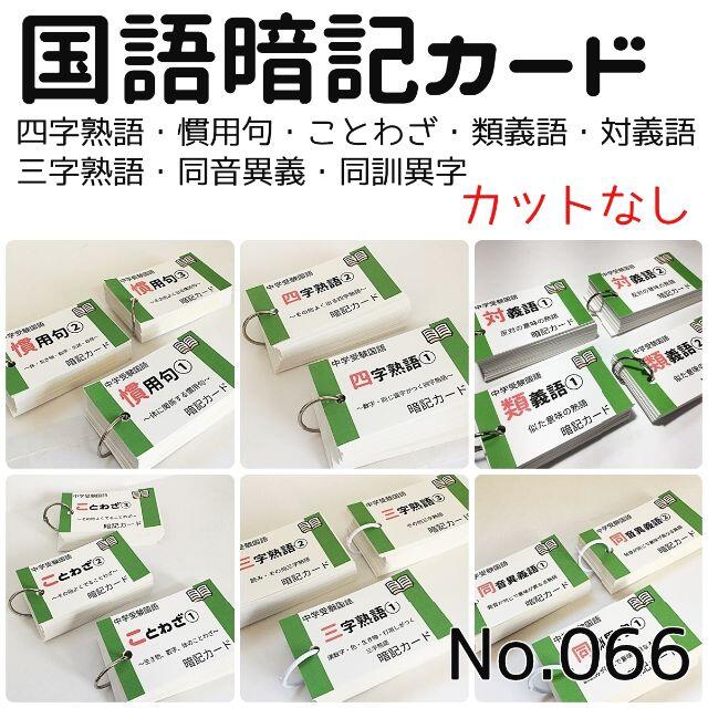 売り尽くし価格 066 中学受験国語 重要語句カードセット カットなし 日本産