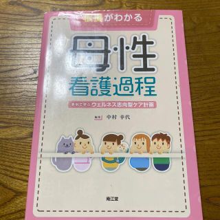 根拠がわかる母性看護過程 事例で学ぶウェルネス志向型ケア計画(健康/医学)