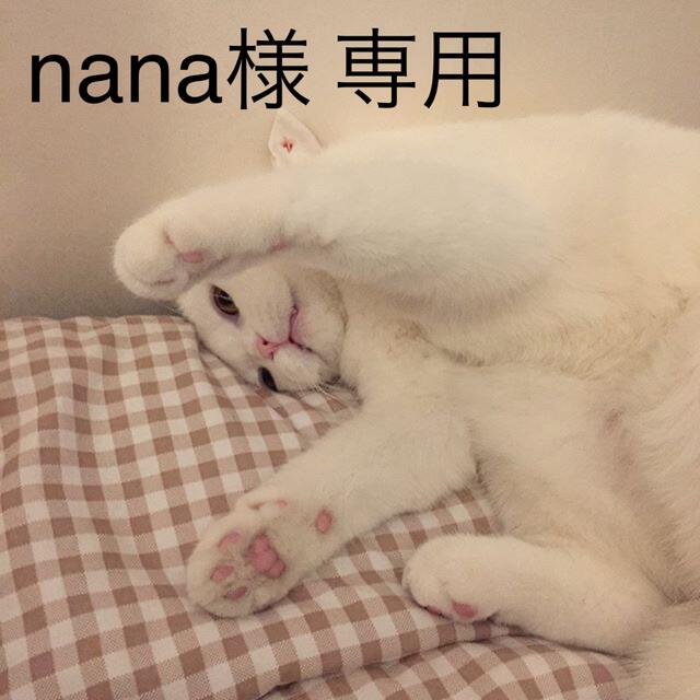 nana様 専用 その他のその他(その他)の商品写真