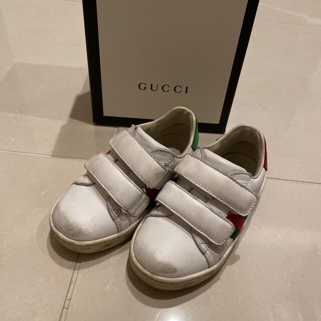 Gucci(グッチ)のgucci   baby  スニーカー　　14.5cm キッズ/ベビー/マタニティのベビー靴/シューズ(~14cm)(スニーカー)の商品写真