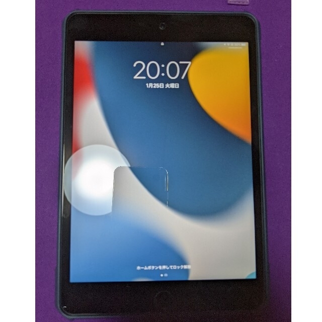 ipad mini5 256GB WiFiモデル スペースグレー ipad mini5 256GB WiFiモデル スペースグレー