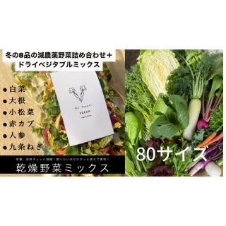 野菜セット８品＋ドライ野菜１袋　京都田舎の小さな農家よりお届け(野菜)