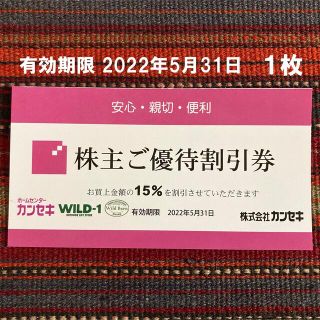 スノーピーク(Snow Peak)のカンセキ優待割引券（有効期限2022/05/31) 1枚(ショッピング)