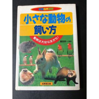 小さな動物の飼い方 動物は大切な友だち！(絵本/児童書)