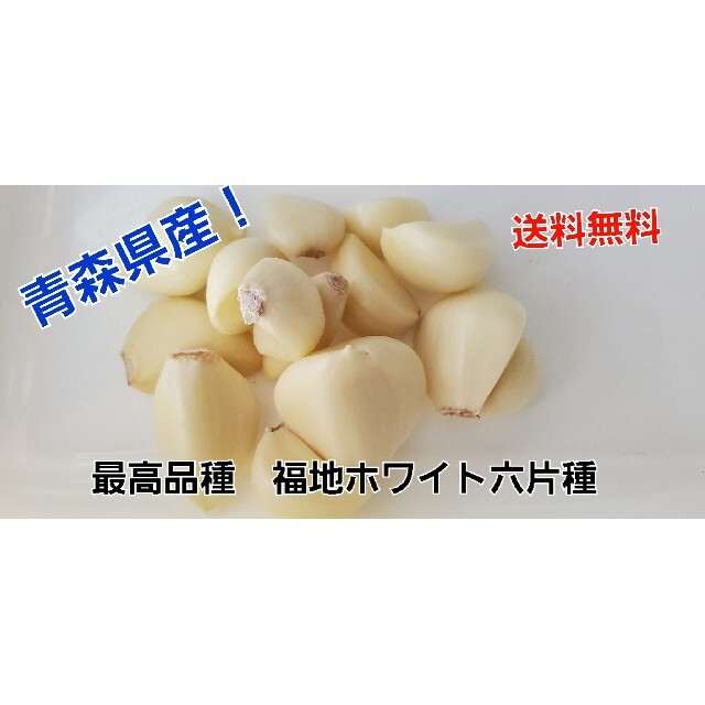 青森県産　ホワイト六片種　むきにんにく １キロ 食品/飲料/酒の食品(野菜)の商品写真