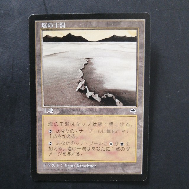 マジック:ザ・ギャザリング(マジックザギャザリング)の塩の干潟 マジック・ザ・ギャザリング mtg MTG エンタメ/ホビーのトレーディングカード(シングルカード)の商品写真