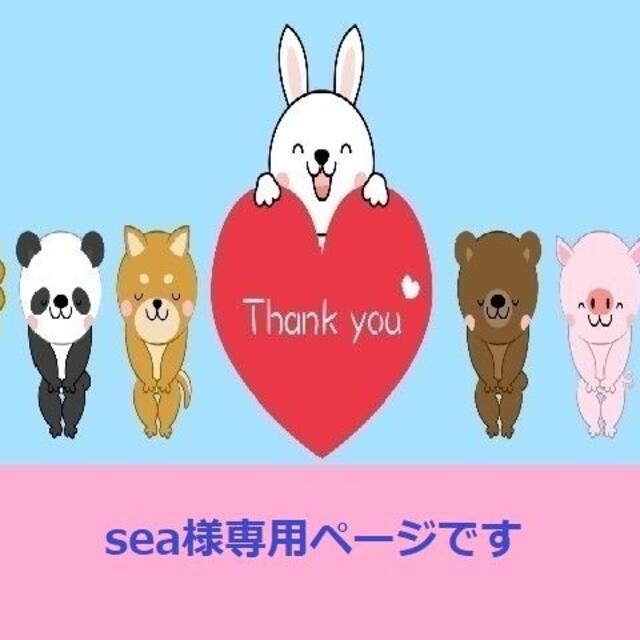 Seaさま専用です！