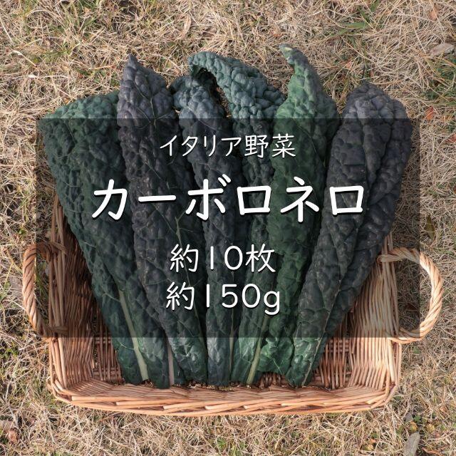 イタリア野菜　カーボロネロ（黒キャベツ）　約10枚　約150g 食品/飲料/酒の食品(野菜)の商品写真