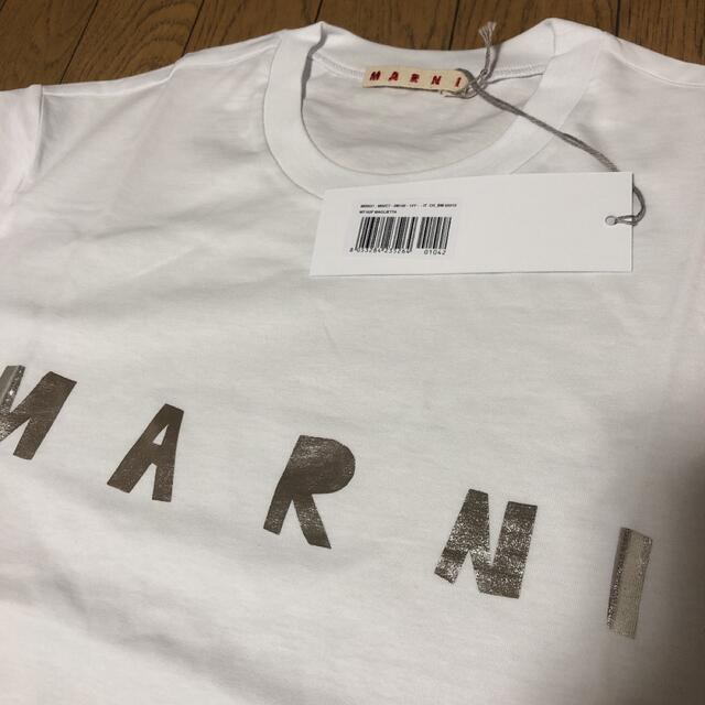 メール便指定可能 新品 50 20aw MARNI ロゴ Tシャツ ブラウン ベージュ 