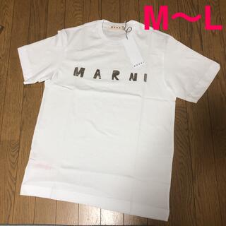 Marni - 新品タグ付 MARNI マルニ シルバーロゴ Tシャツ キッズ 14Y M〜L