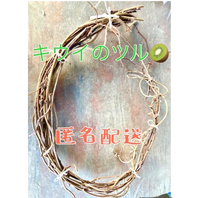 独創的 キウイのツル 12本程度 c その他 独創的 キウイのツル 12本程度 c その他