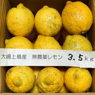 広島県大崎上島産無農薬レモン　3.5kg(フルーツ)