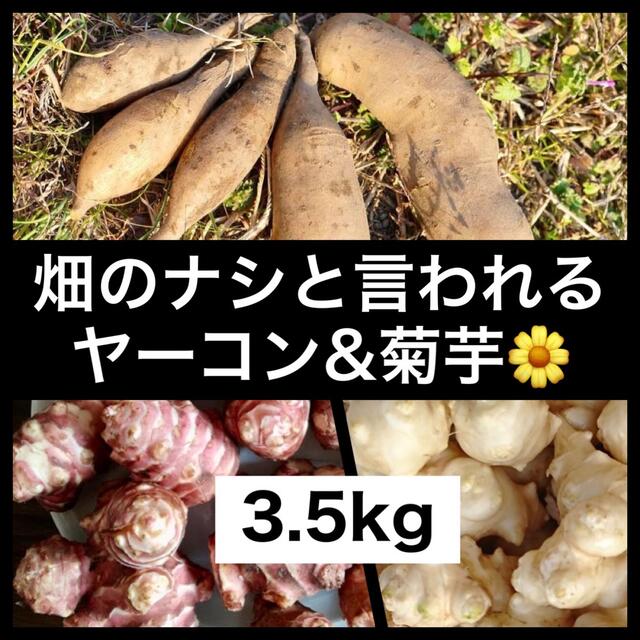 無農薬『ヤーコン&菊芋（白・紫）』組合せ（3.5kg） 食品/飲料/酒の食品(野菜)の商品写真