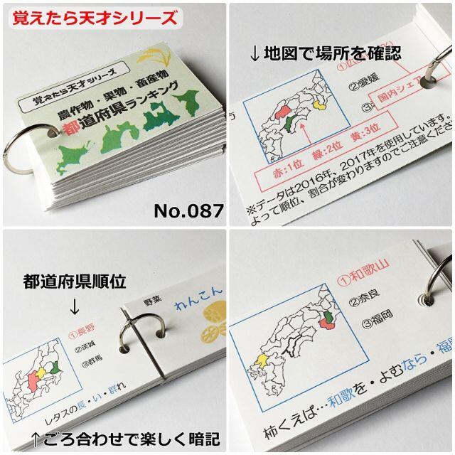 【084】★受験対策　社会　地理、歴史、公民　暗記カード　フルセット エンタメ/ホビーの本(語学/参考書)の商品写真