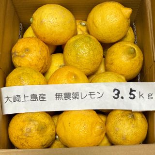 広島県大崎上島産無農薬レモン　3.5kg(フルーツ)