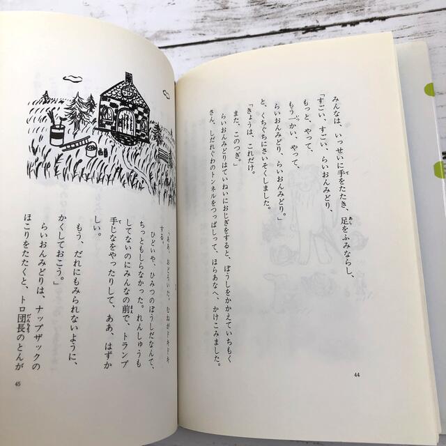 らいおんみどりの日ようび　福音館書店　児童本　全国学校図書協議会図書 エンタメ/ホビーの本(絵本/児童書)の商品写真