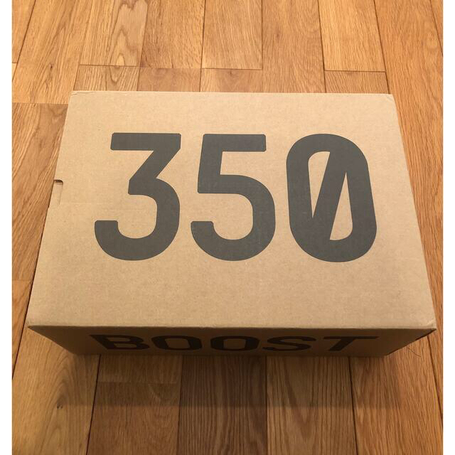 adidas YEEZY BOOST 350 V2 BLUETINT イージー 4