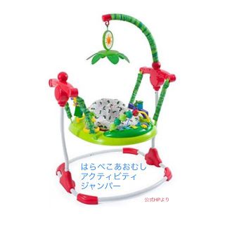 ニホンイクジ(日本育児)の【美品】 はらぺこあおむし アクティビティジャンパー　日本育児(ベビージム)