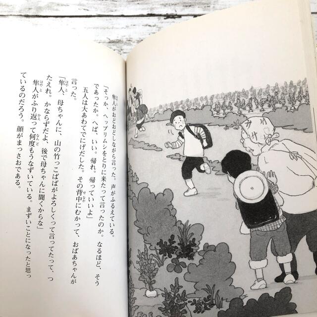 かぐやのかご　こころのつばさシリーズ エンタメ/ホビーの本(絵本/児童書)の商品写真