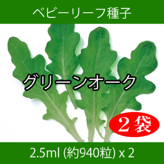 ベビーリーフ種子 B-01 グリーンオーク 2.5ml 約940粒 x 2袋(野菜)