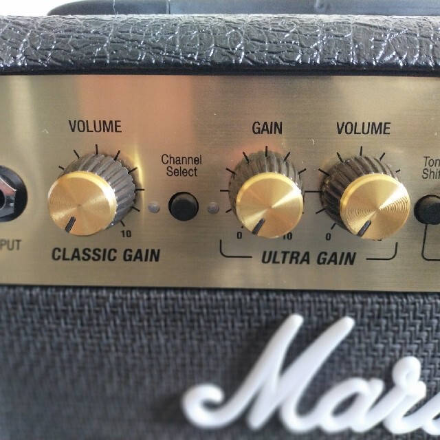 Marshall DSL1