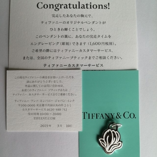 ティファニー(Tiffany & Co.)の未使用ティファニーネックレストップ(ネックレス)