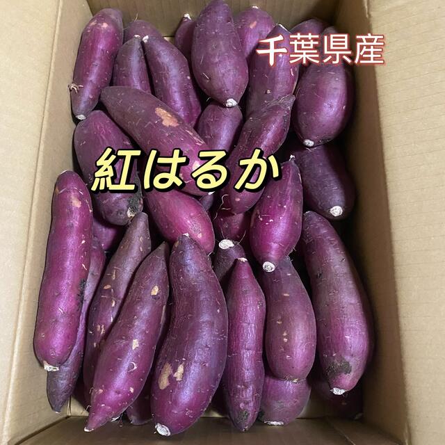 爆買いセール シルクスイート 千葉県産 箱含む5kg さつまいも