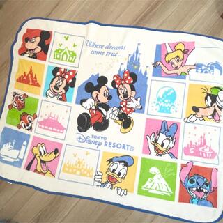 Disney - ディズニーランド　大判　ブランケット　毛布