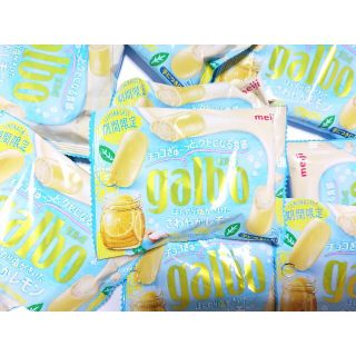 ガルボ　ほんのり塩がきいたさわやかレモンポケットパック　10袋(菓子/デザート)