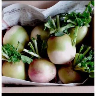 紅芯大根セット　野菜詰め合わせ(野菜)