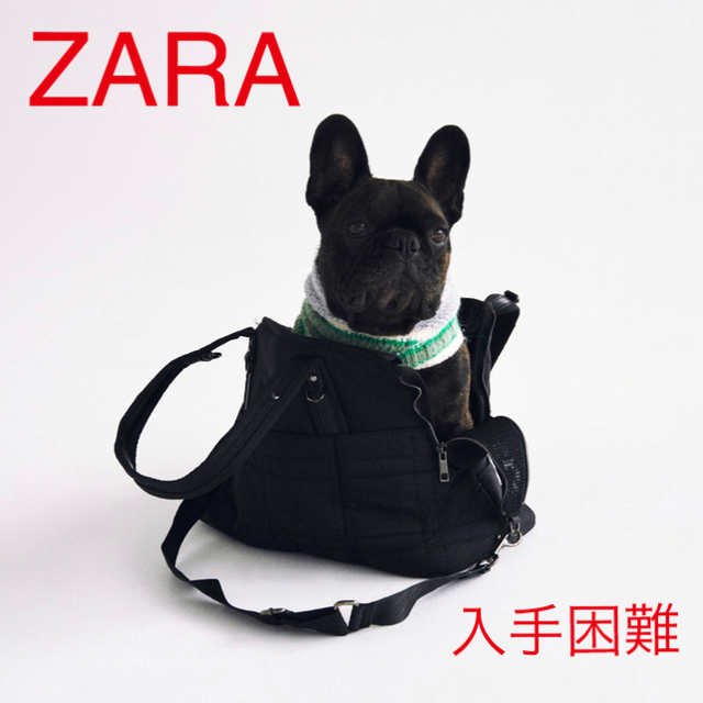 ZARA ナイロン　ペットキャリーバック　新品未使用 | フリマアプリ ラクマ