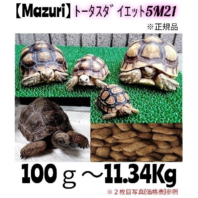 単品販売／受注生産 mazuri トータスダイエット5M21 3000g リクガメフード