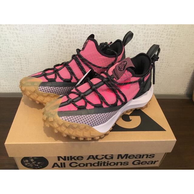 NIKE AGC マウンテンフライロウ　25.0cm