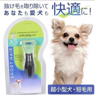 【新品】超小型犬　短毛　コーム　ブラシ(犬)