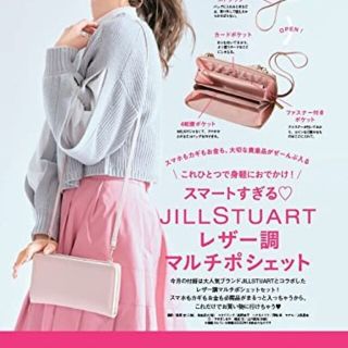 ジルスチュアート(JILLSTUART)のJILLSTUART レザー調マルチポシェット(その他)