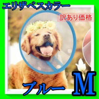 ブルー　エリザベスカラー M　布　犬 猫　術後　【訳アリ】C0101-1M(犬)