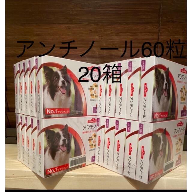 犬用アンチノール60粒入り新品未開封　20箱