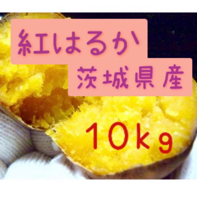 ぎみっく様専用　10kg    食品/飲料/酒の食品(野菜)の商品写真