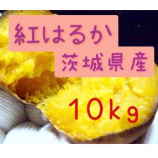 ぎみっく様専用　10kg   (野菜)