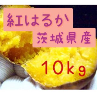 山ごろ様専用　10kg   (野菜)