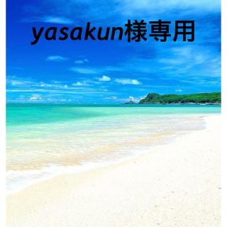 ニンテンドウ(任天堂)のyasakun様専用(カード)