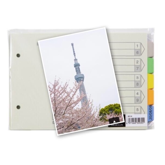 まとめ) ライオン事務器 カラーインデックスA4ヨコ 5色5山 2穴 扉紙 C1 ...
