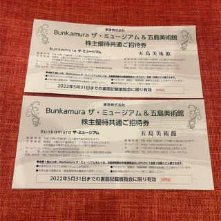 Bunkamuraザ・ミュージアム ご招待券2枚 ペア 東急 株主優待(美術館/博物館)