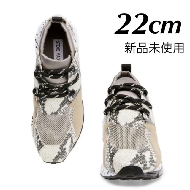 Steve Madden(スティーブマデン)の★タイムセール【新品未使用 / 正規品 】STEVE MADDEN スニーカー レディースの靴/シューズ(スニーカー)の商品写真